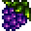 Grape